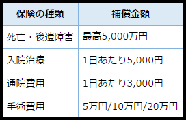 国内旅行損害保険